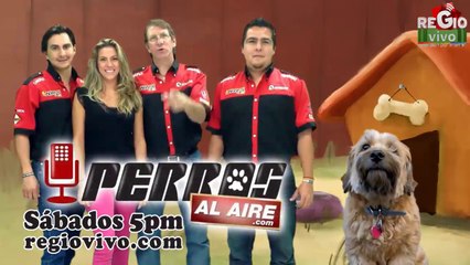 FRAGMENTOS DEL MIEDO 13 DE MARZO DE 2014