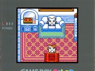 Hamtaro : Bienvenue au Club ! (Parte 15)