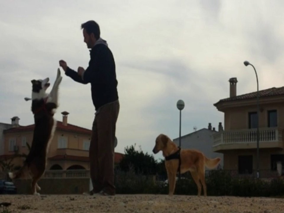 "Maya" Jugando sin disco...