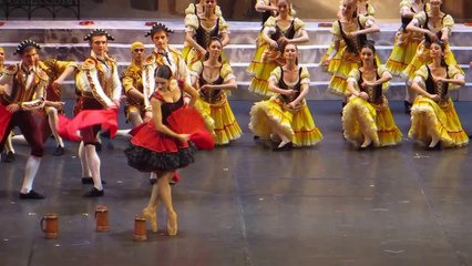 Don Quixote - 14.02.2014 - Sergei Polunin - Erika Mikirticheva