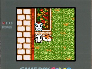 Hamtaro : Bienvenue au Club ! (Parte 18)