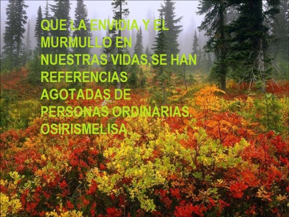 OSIRISMELISASENTIMIENTOS-23