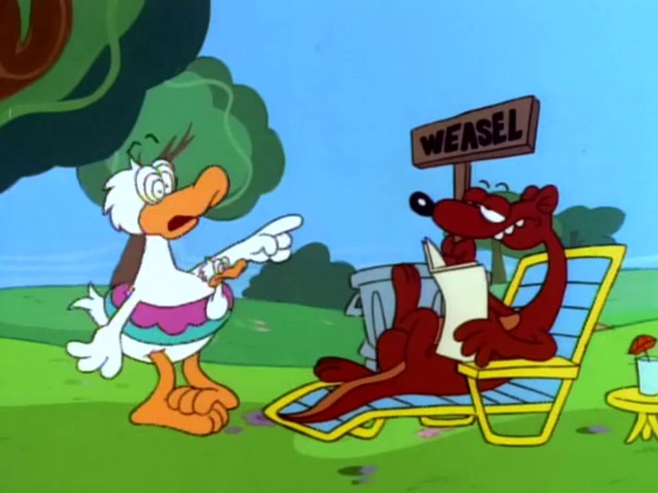 Gatos_siameses.part092