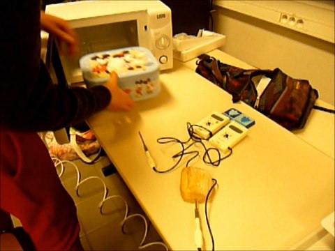 Peut-on traiter la mérule physiquement et non chimiquement ?