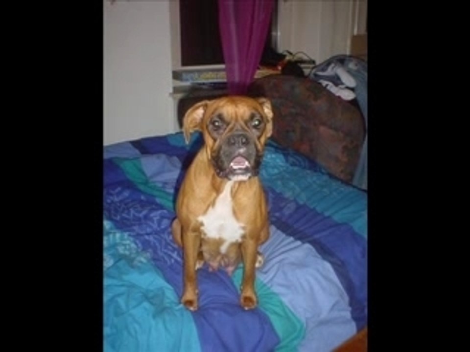 voila notre petite famille