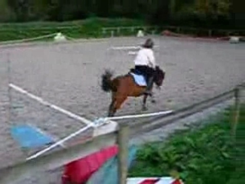 Saut d'obstacle