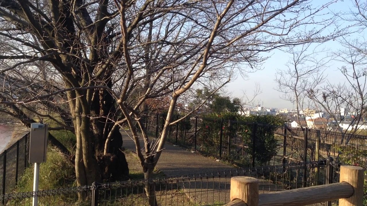 I心合寺山古墳 （しおんじやまこふん）　八尾市