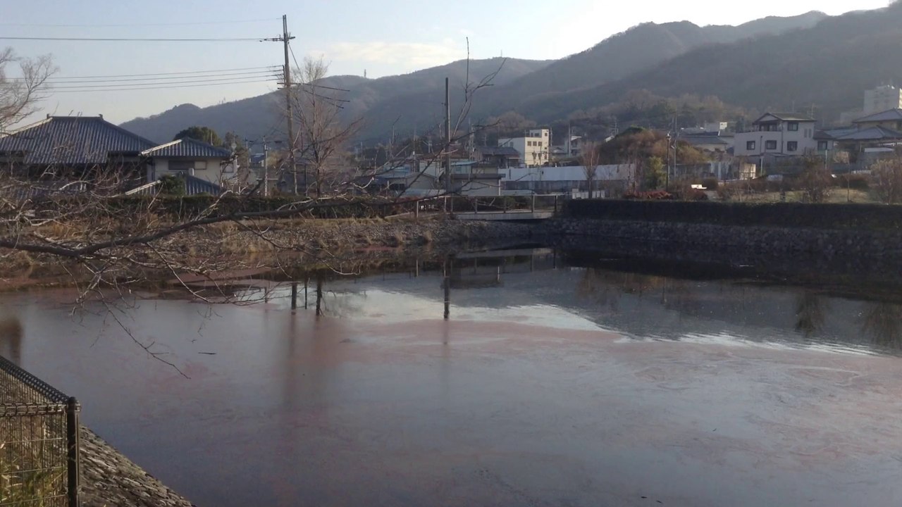 心合寺山古墳 （しおんじやまこふん）　八尾市　