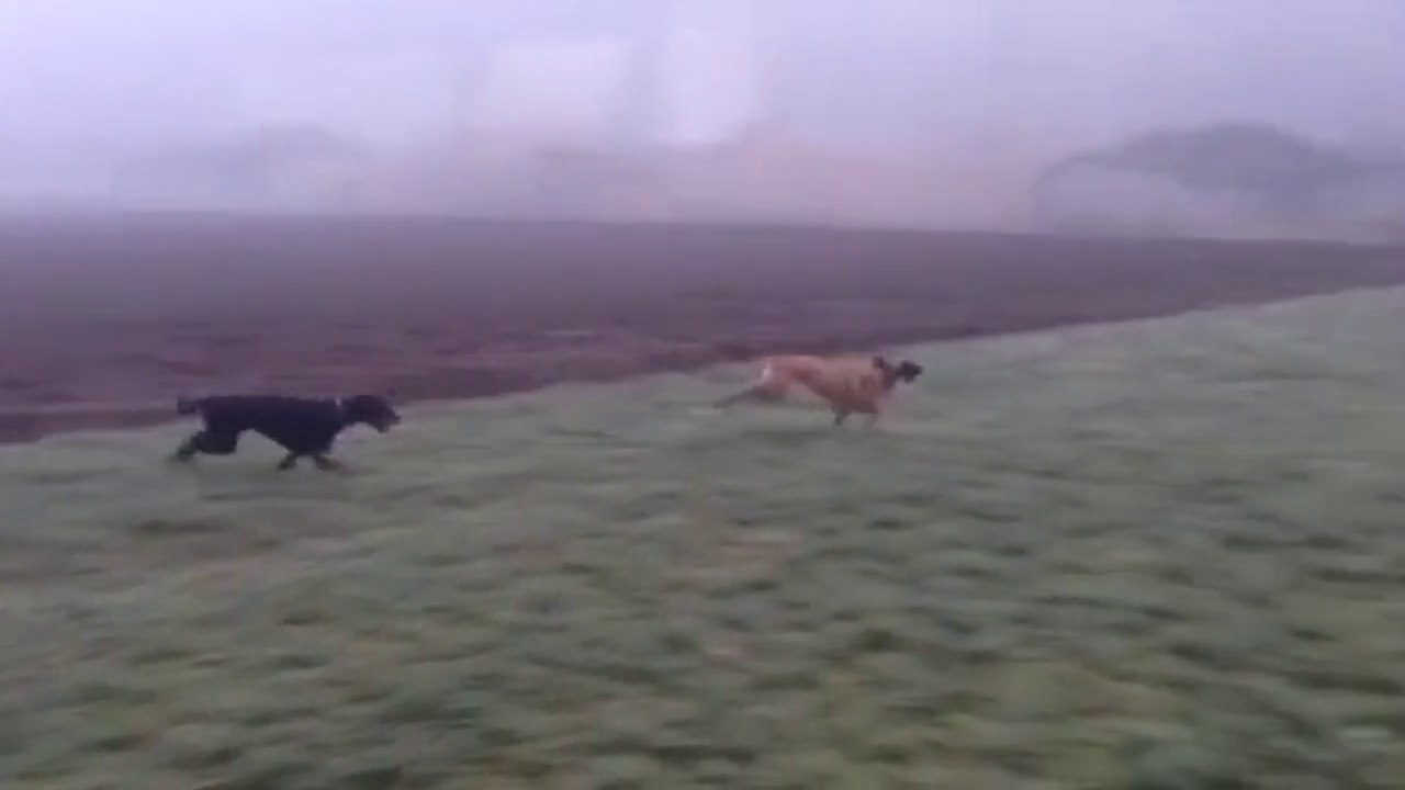 Be Aware Fleur & Face@ Fitnesstraining