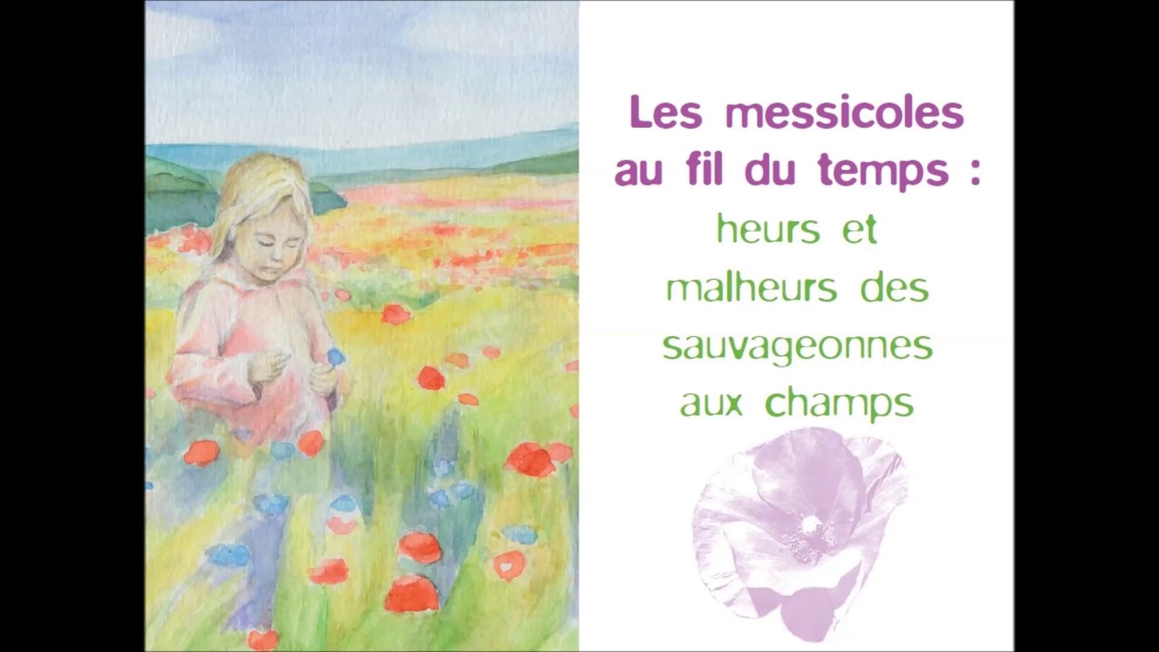 pltes messicoles