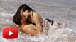 Caught - Virat Kohli & Anushka Sharma Getting Cozy On Beach