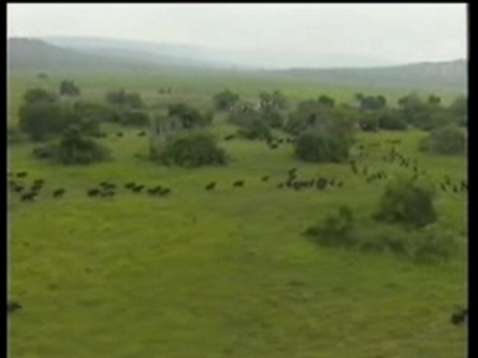 Au Rwanda