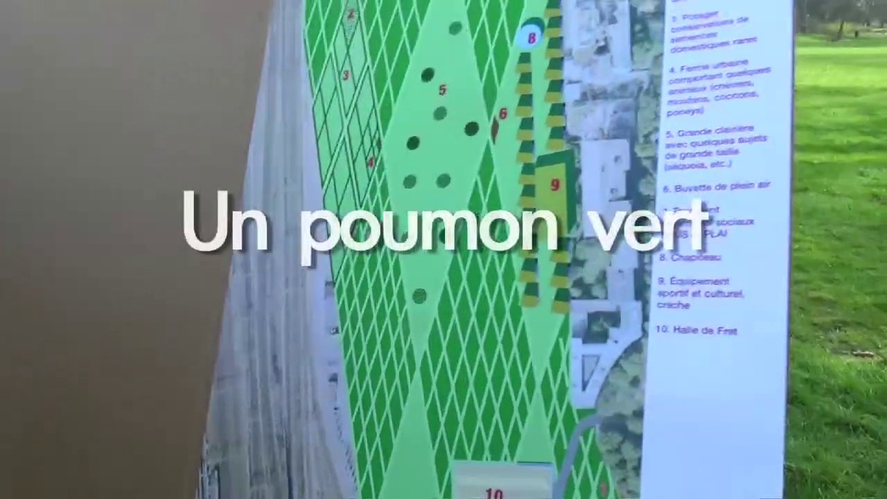 Troisième bois : "Un poumon vert dans un quartier populaire"
