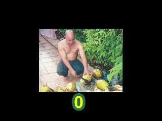 DLO KOKO Alain JEAN-MARIE Georges PLONQUITTE