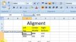 Ms Excel Lesson # 11 Alignment (Microsoft Office Excel 2007 Tutorial)(Urdu)