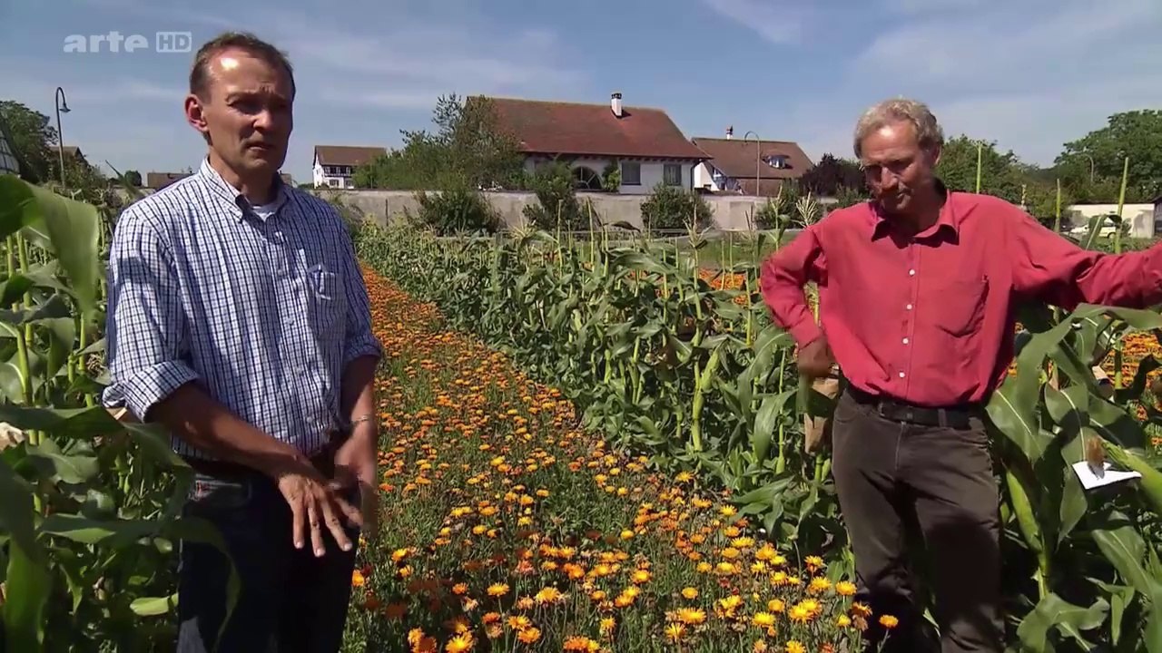 _Semences,les gardiens de la biodiversité _