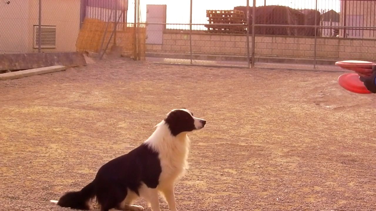 A ritmo de Jota...