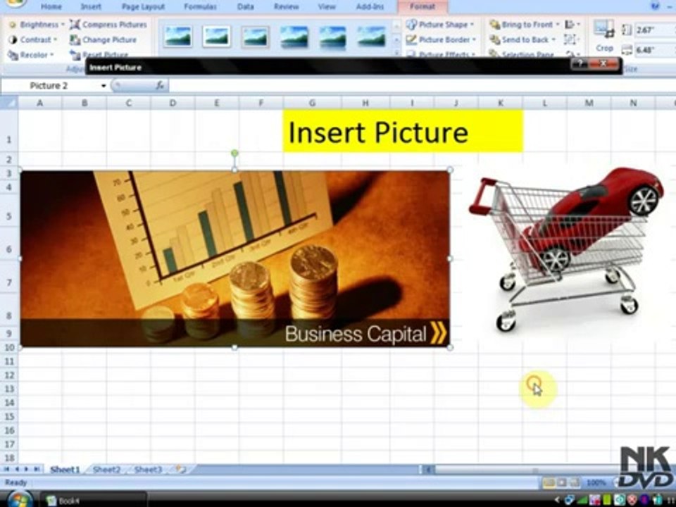 Ms Excel Lesson # 44 The Insert Picture Adjust