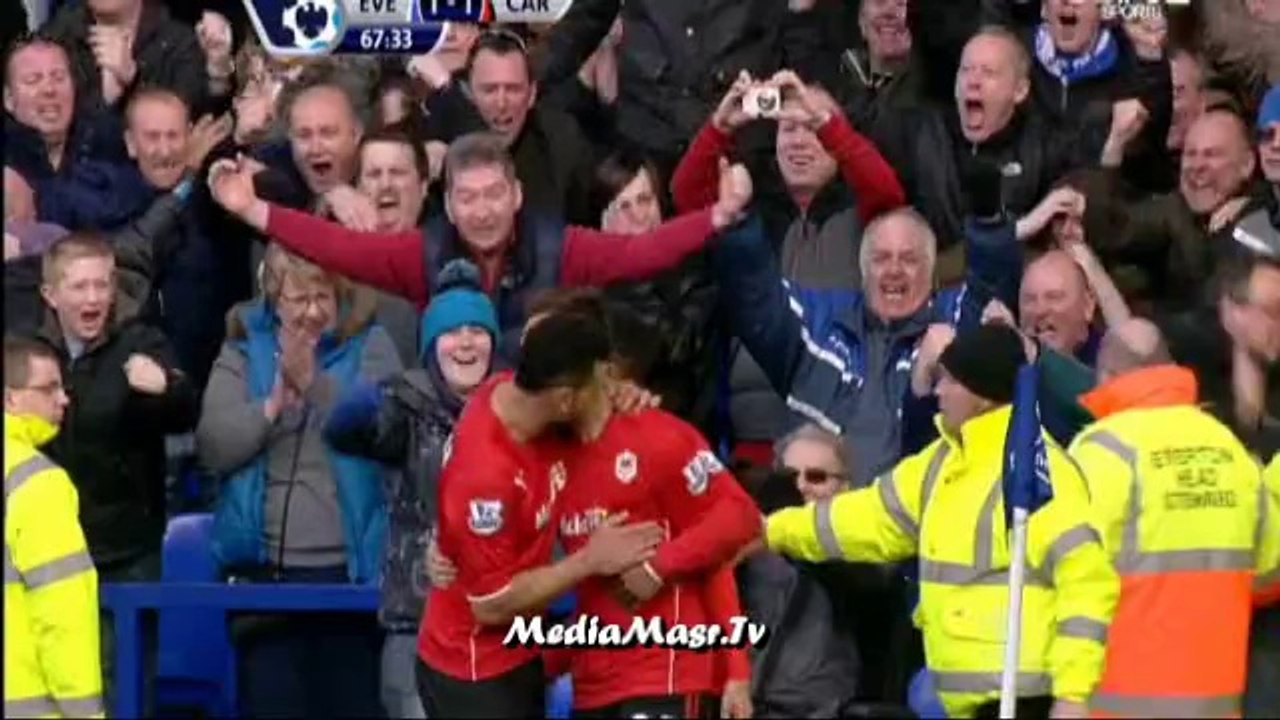 إيفرتون 2-1 كارديف سيتي - الأسبوع 30 - 15/3/2014