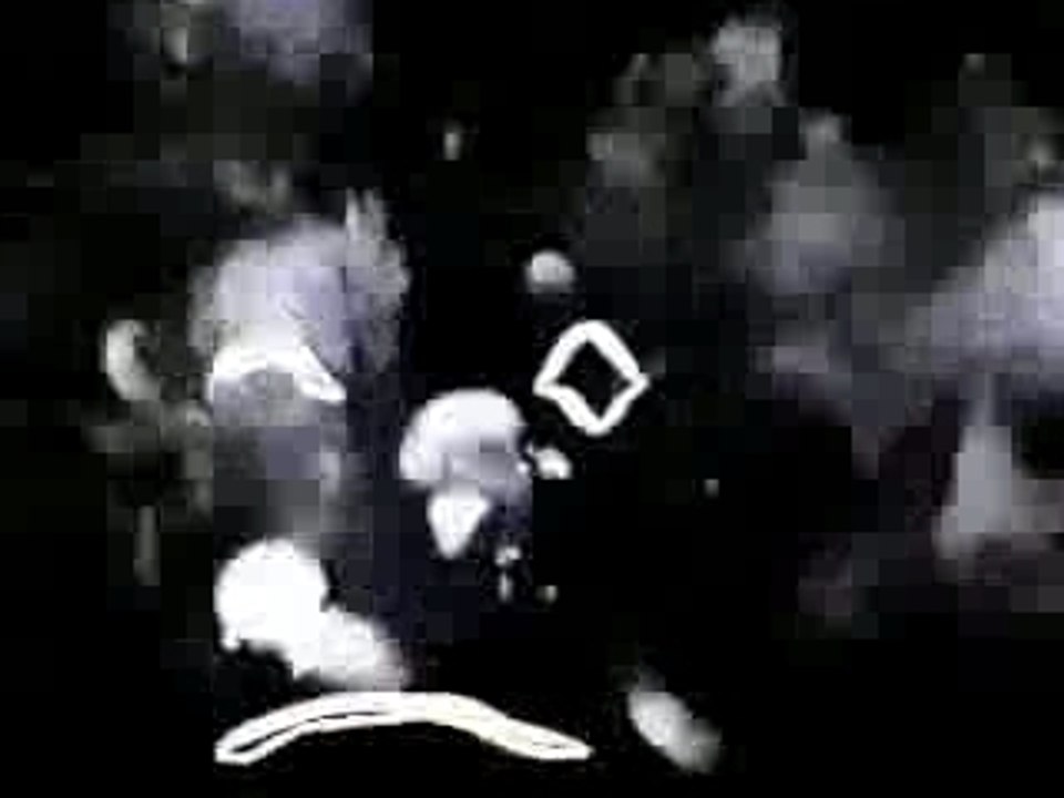 Limbo - Jim Henson with Johnny Carson