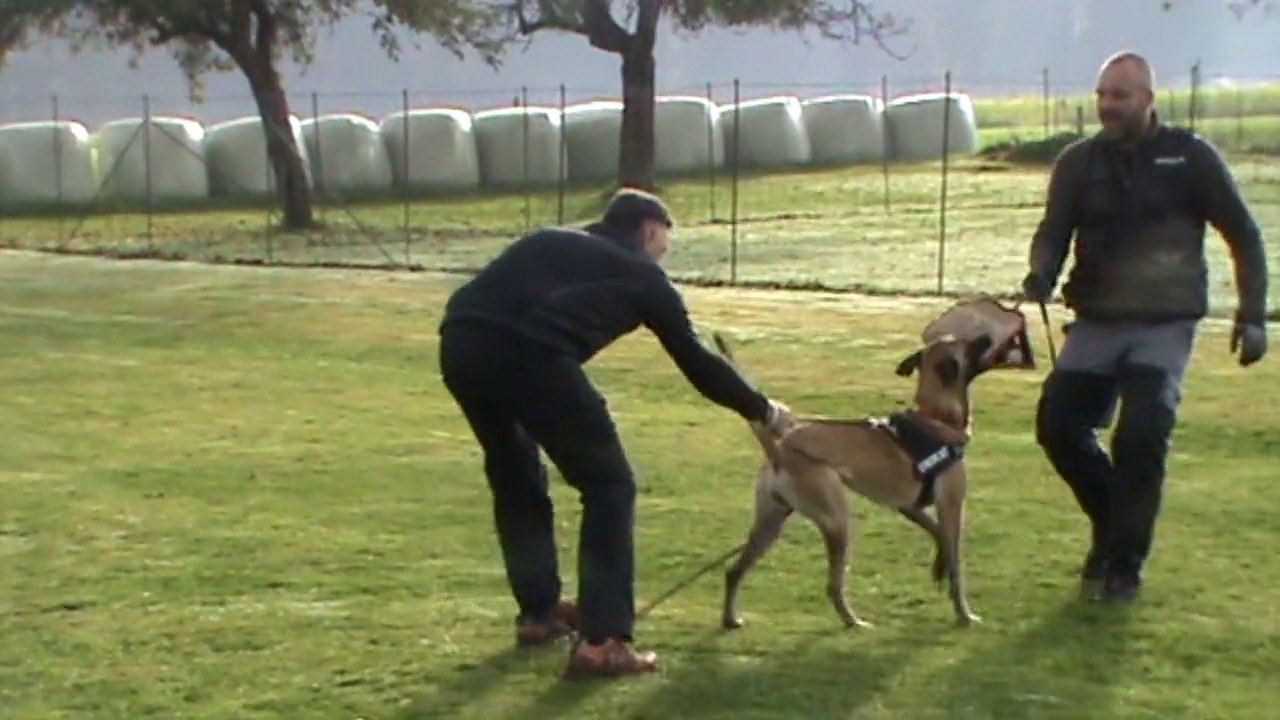 Be Aware Fleur @ Training-Part 1