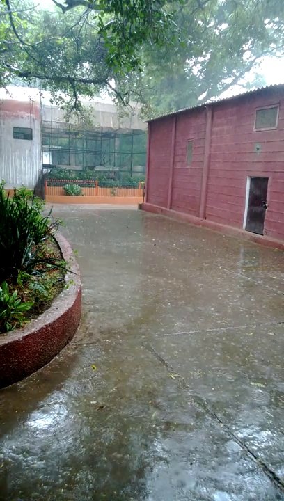 Karachi Zoo  (2)