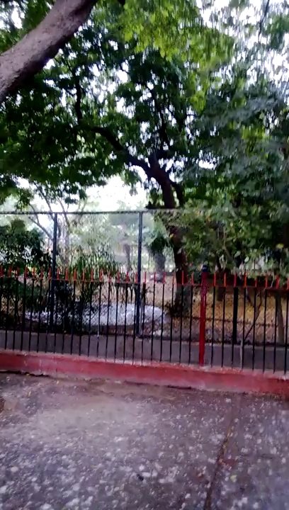 Karachi Zoo  (3)