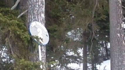 Pistes noires Yanael