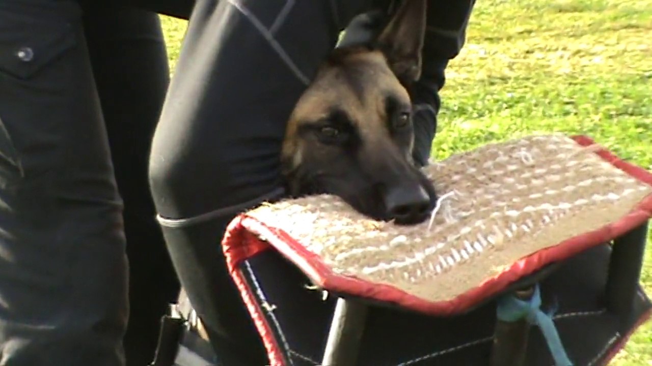 Be Aware Fleur @ Training-Part 2