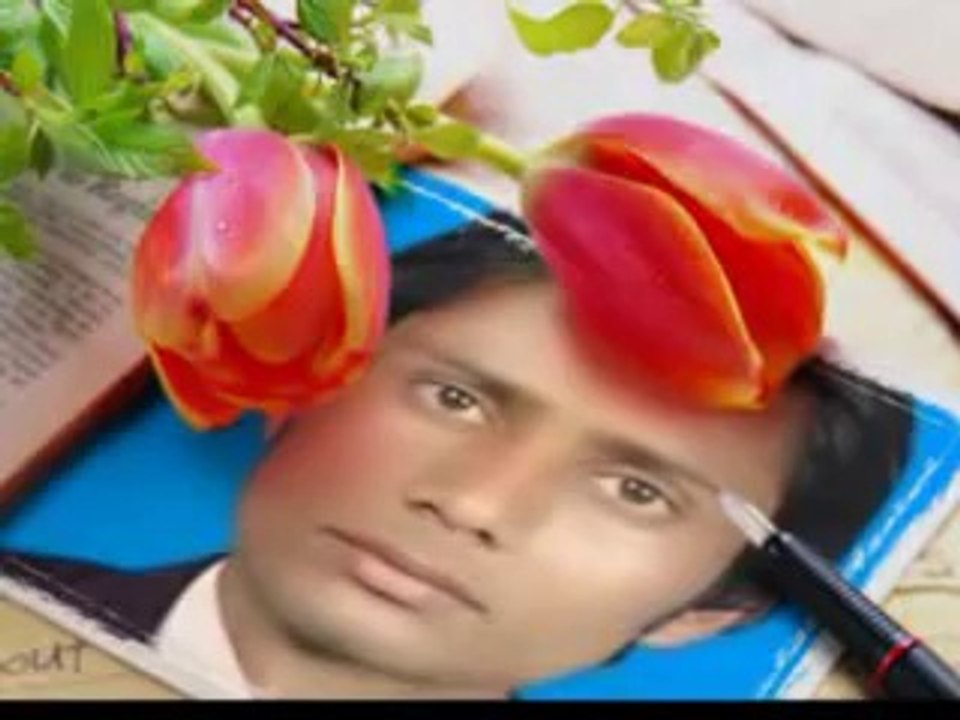 qamar biba