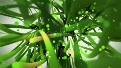 Living Lines Logo Reveal - After Effects Template