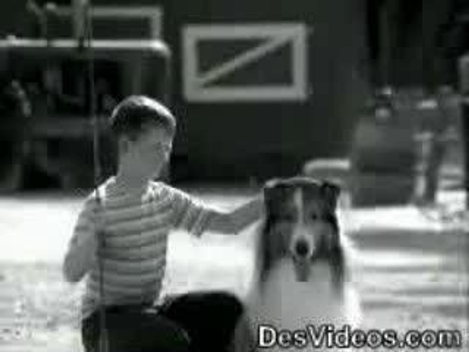Lassie