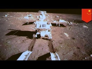 Jade Rabbit found to be active after being declared malfunctional