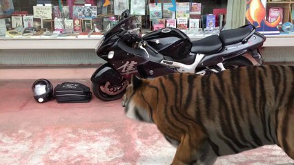 Quel accueil à la librairie NICOD de Valentigney (25) ! :-)