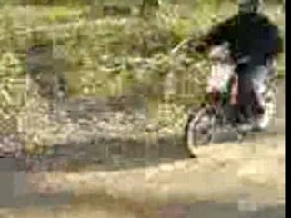 julien la gueule ds l arbre