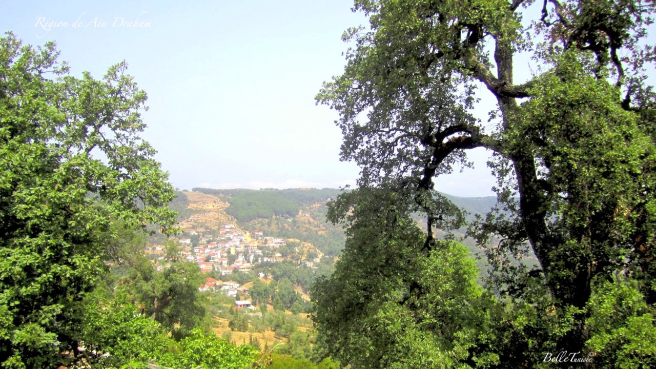 Belle Tunisie (38)