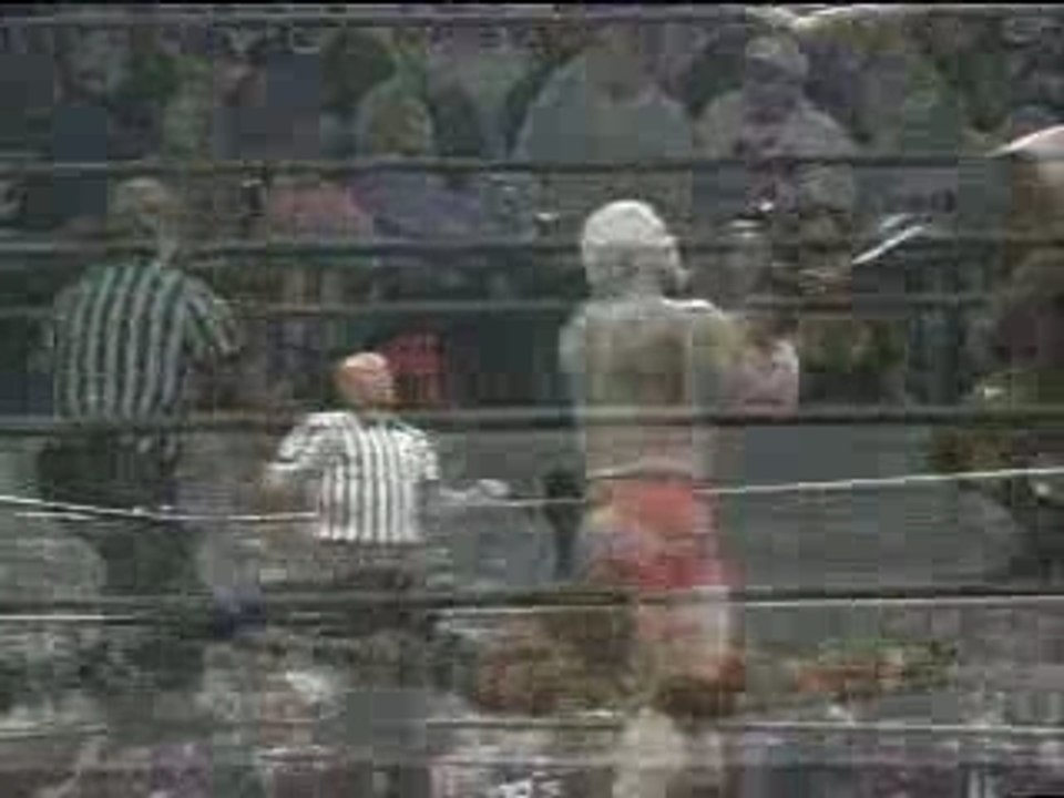 WWE Wrestling accident