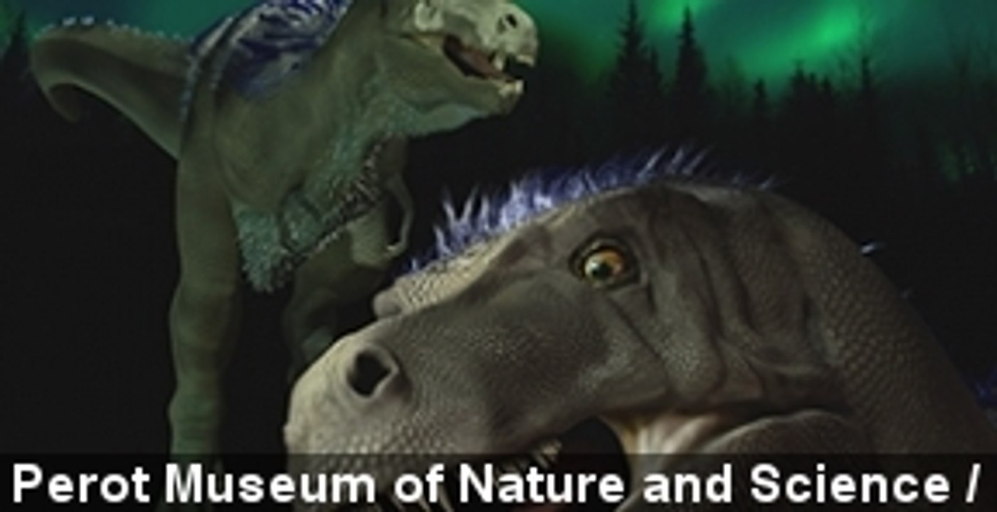 Remains Of Tiny T. Rex Discovered In Alaska