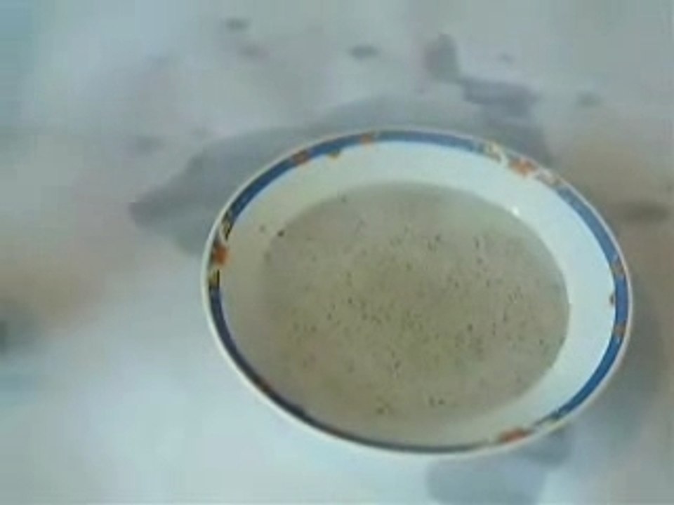 dans la soupe