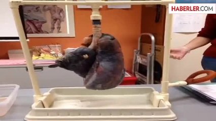 Herkesin İzlemesi Gereken Kısa Film