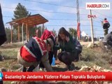 Gaziantep'te Jandarma Yüzlerce Fidanı Toprakla Buluşturdu