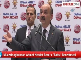 Müezzinoğlu'ndan Ahmet Necdet Sezer'e 'Saksı' Benzetmesi