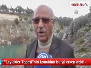 Leylekler Tepesi"Nin Konukları Bu Yıl Erken Geldi