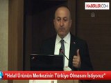 AB Bakanı Çavuşoğlu, Türkak Bilgilendirme Toplantısına Katıldı