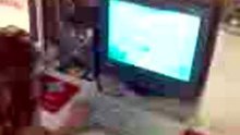 boys_games_2005_02