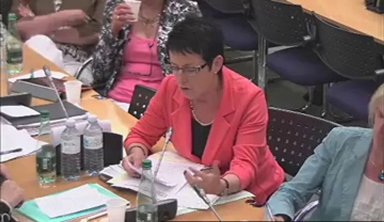 Audition de Mme Najat Vallaud-Belkacem, ministre des droits des femmes - Mercredi 18 Juillet 2012