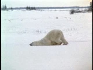 aller au boulot le lundi