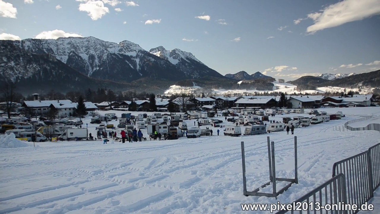Inzeller schlittenhunderennen 2014