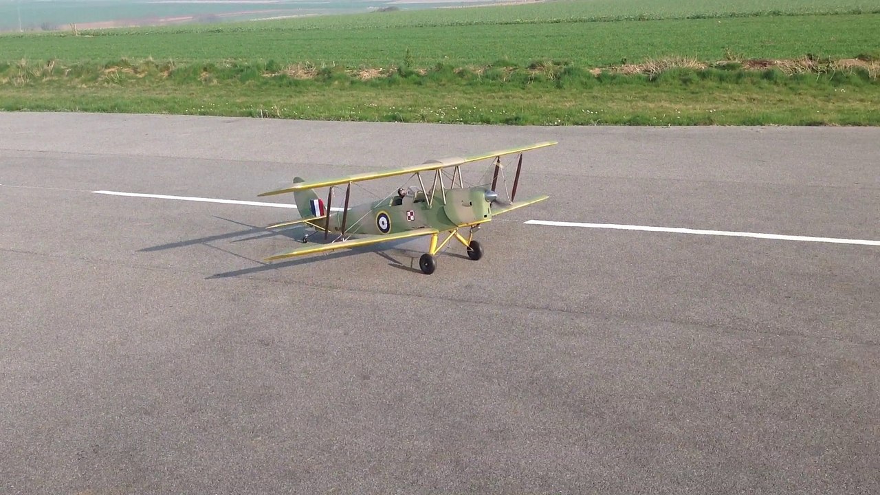 Tiger Moth de Gérard