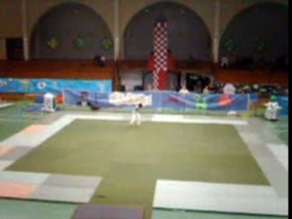 Fin Gala 2006